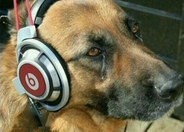 无需前端，一部手机就能让你体验无损音乐