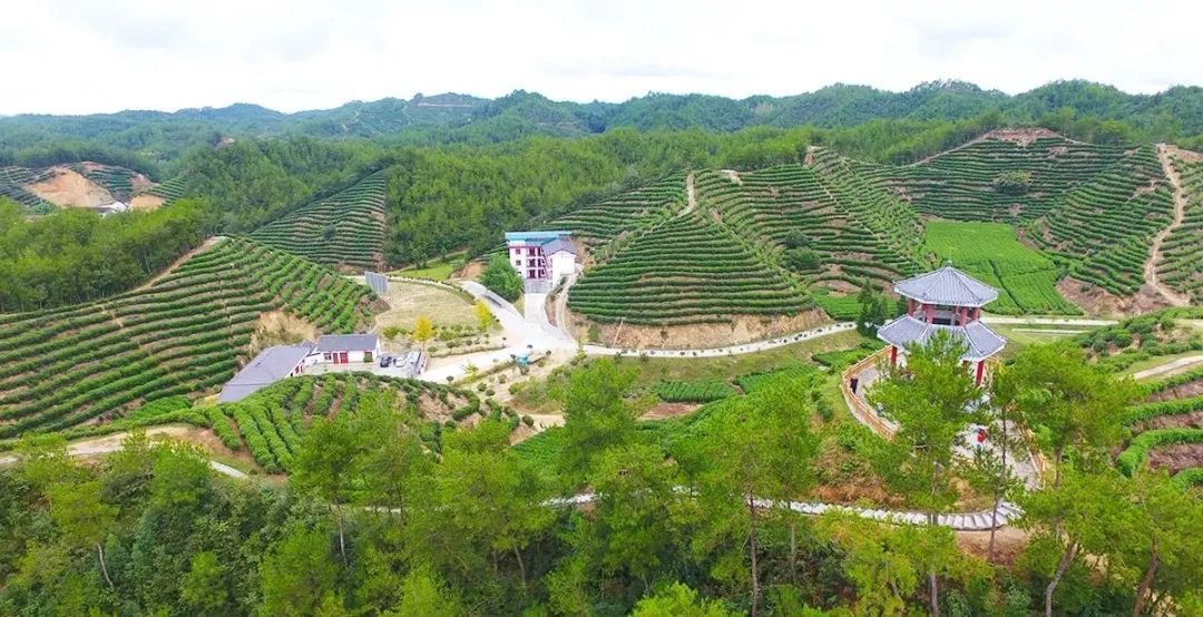 大金獎2個、金獎4個、銀獎6個！漢中再創佳績→