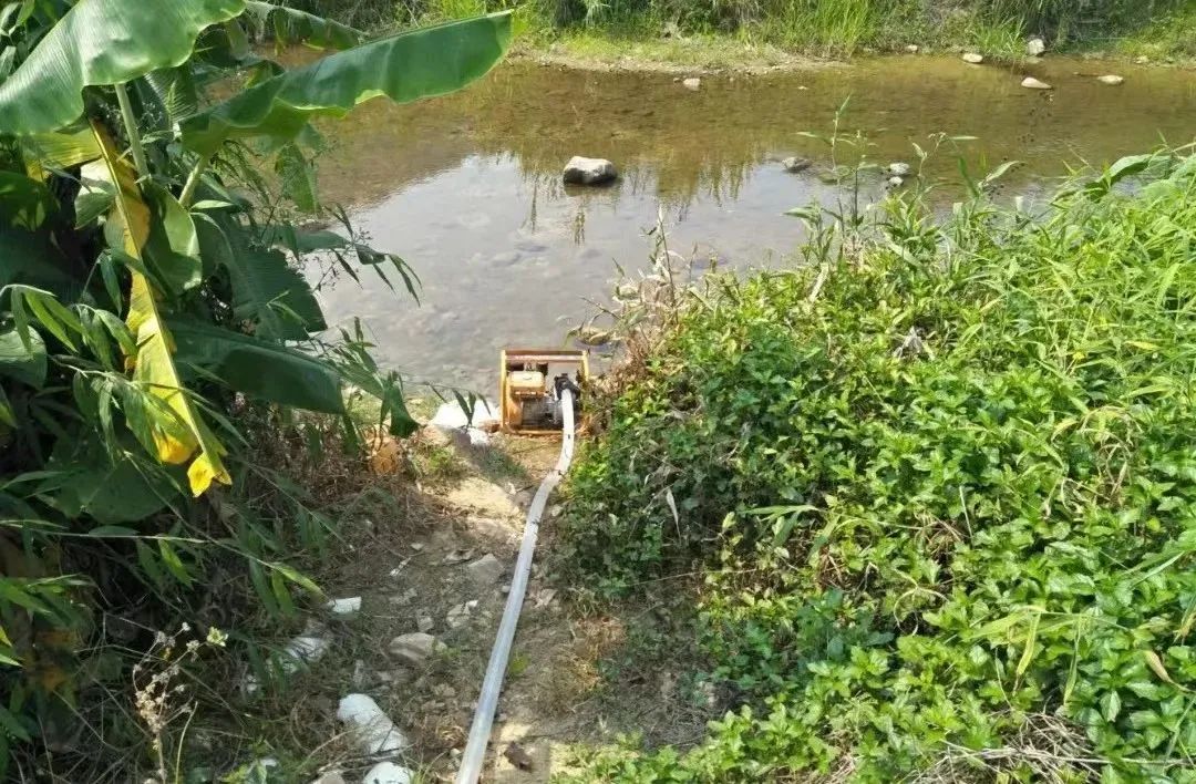 守好“漢中糧倉”！已累計澆灌66.2萬畝次