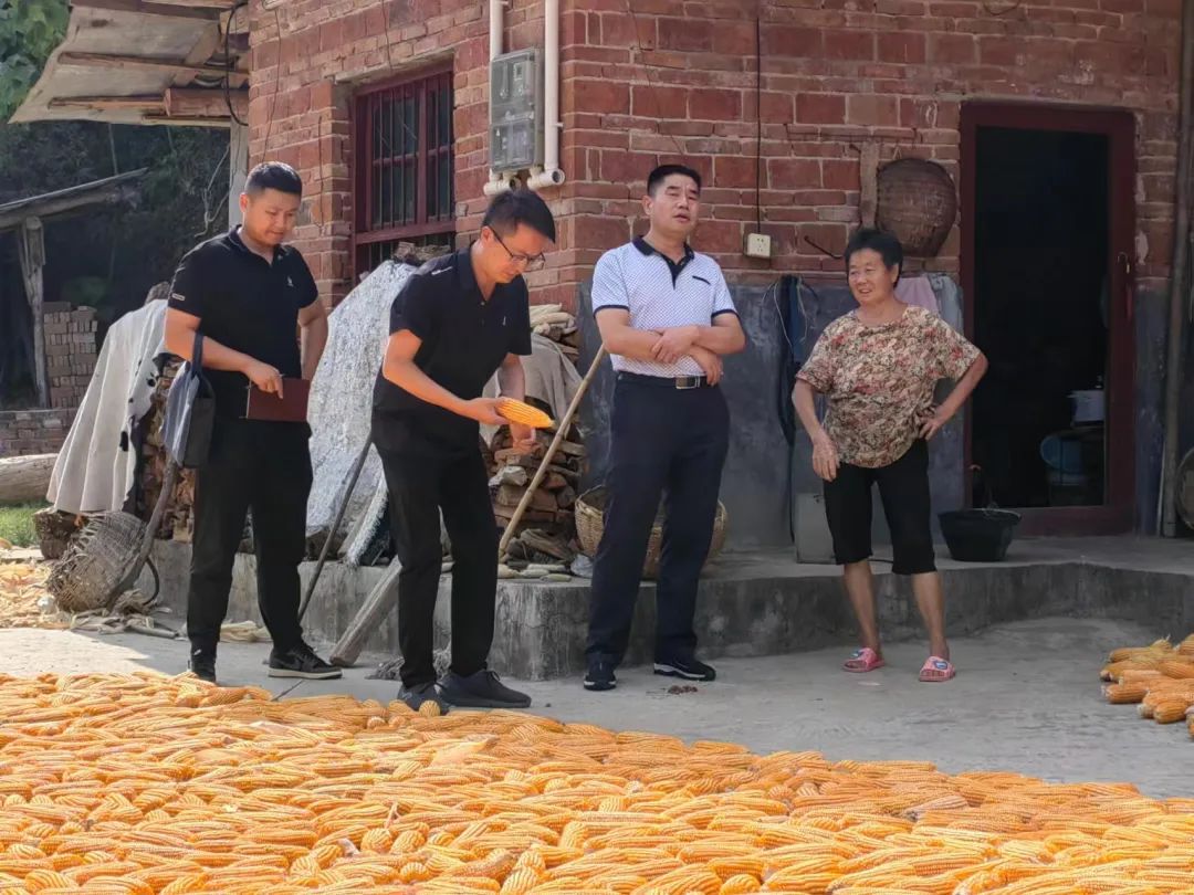 守好“漢中糧倉”！已累計澆灌66.2萬畝次