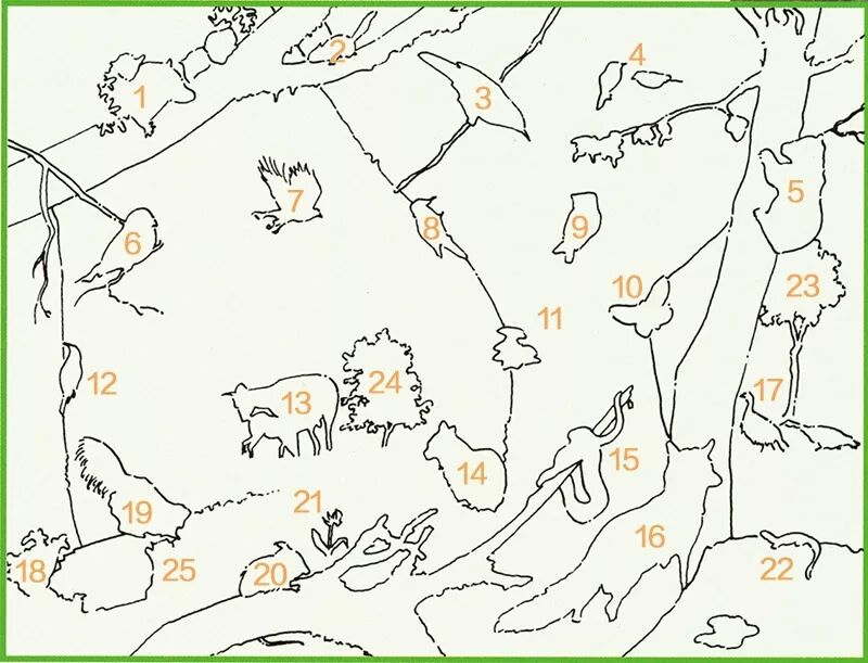 温带落叶阔叶林带_温带落叶阔叶林是什么气候_温带落叶阔叶林