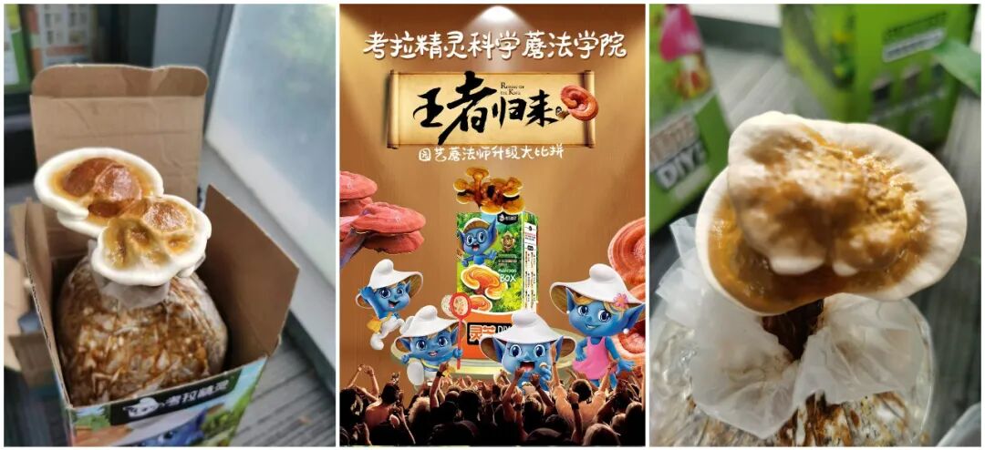 玉石刮痧面板怎么用玉石粉水晶刮痧板， 提升代谢、疏通经络、护肤小神器_https://www.jmylbn.com_新闻资讯_第47张