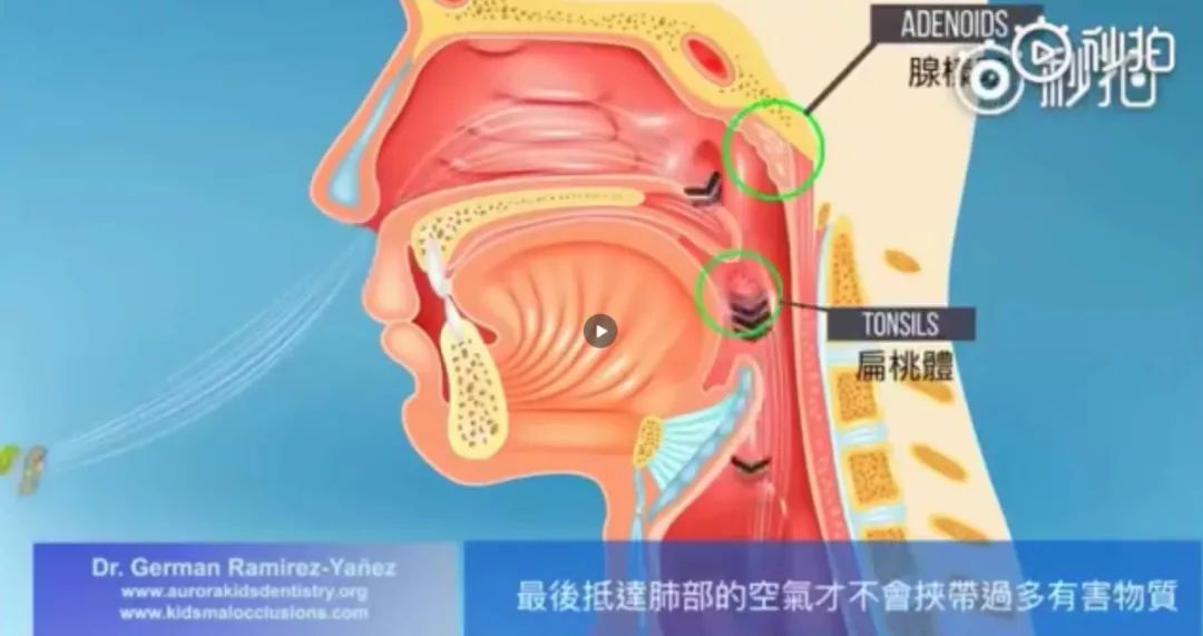 小S曬女兒睡覺照片惹眾議，這個習慣正在毀掉你的孩子？ 親子 第14張