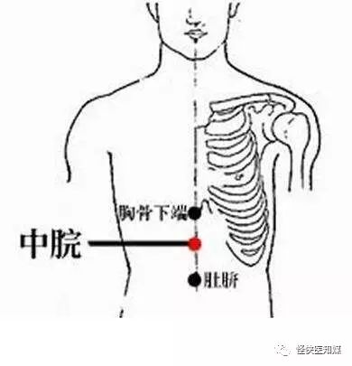 中脘:腹部正中線臍上4寸.