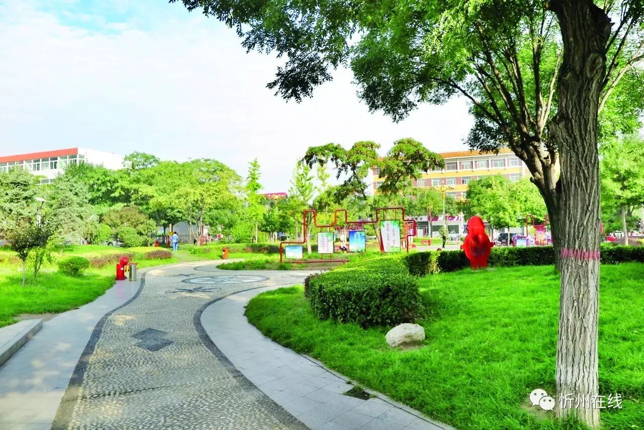 推窗见绿出门见园小游园扮靓忻州城