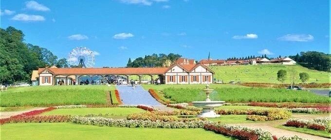 微信公众号旅游卫视超级旅行团 Tcchaolv 最新文章 微信公众号文章阅读 Wemp