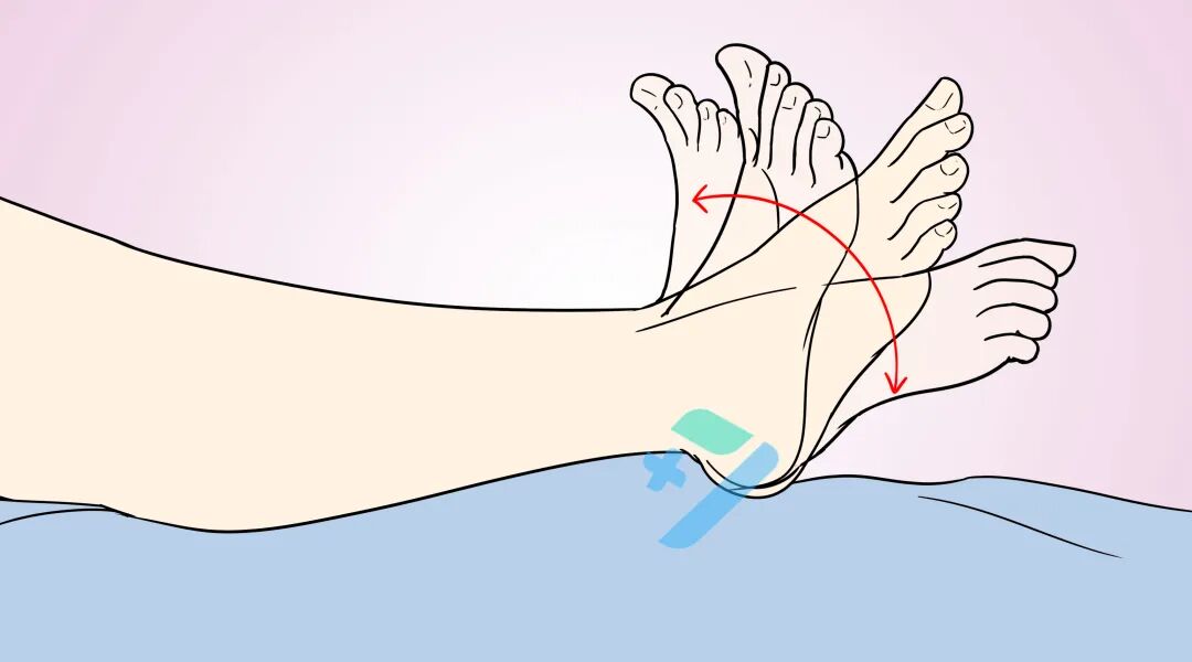 踝泵运动的执行时间和频次?