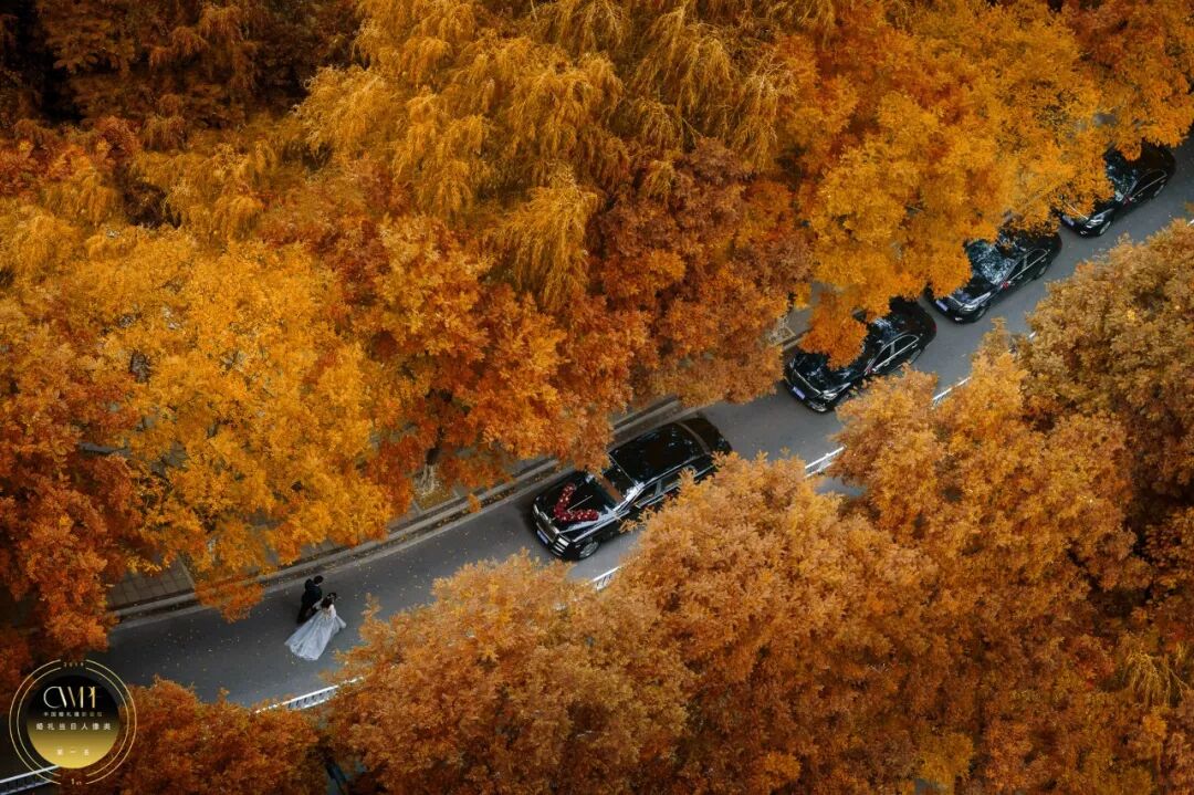 2019年中国婚礼摄影大赛优秀作品展示