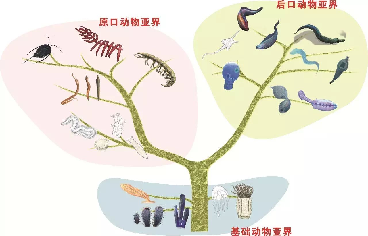 新年重磅 西北大學喜獲16年度國家自然科學獎 西北大學 微文庫