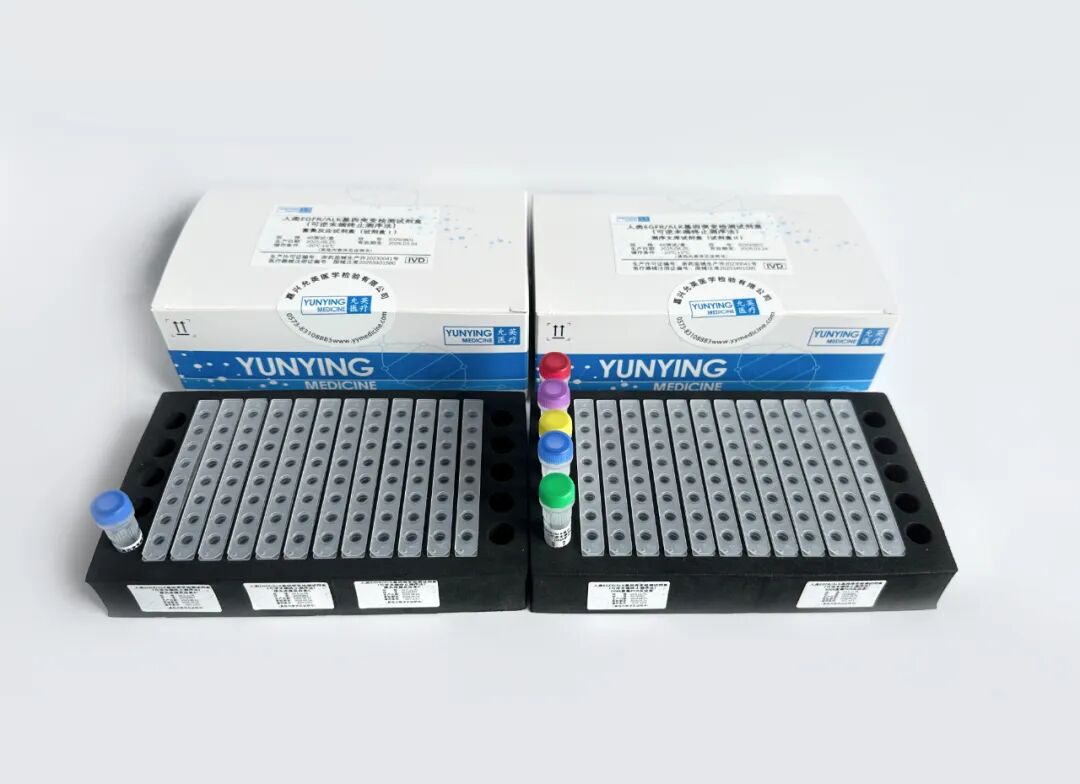 国械注进怎么查“试剂盒+软件”完整闭环解决方案！允英医疗非小细胞肺癌基因突变分析软件获批_https://www.jmylbn.com_新闻资讯_第2张