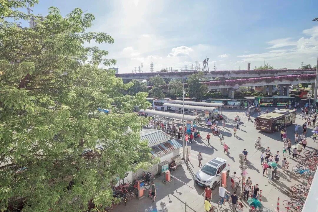 广州旅行攻略 | 值得奔赴的八大景点！