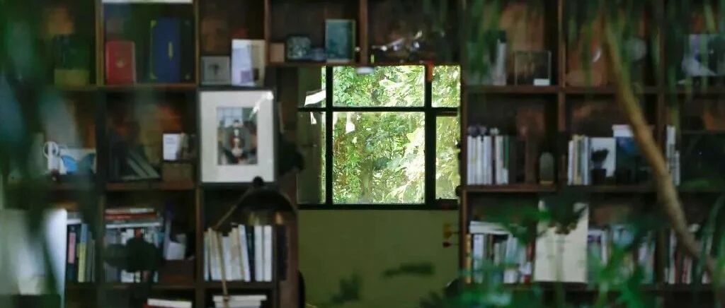 小夫妻花6万住进森林，还盖了栋300平米的婚房：你向往的生活，其实不贵