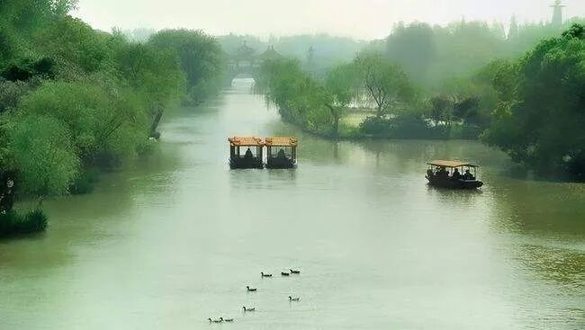 炒白果 吃在扬州