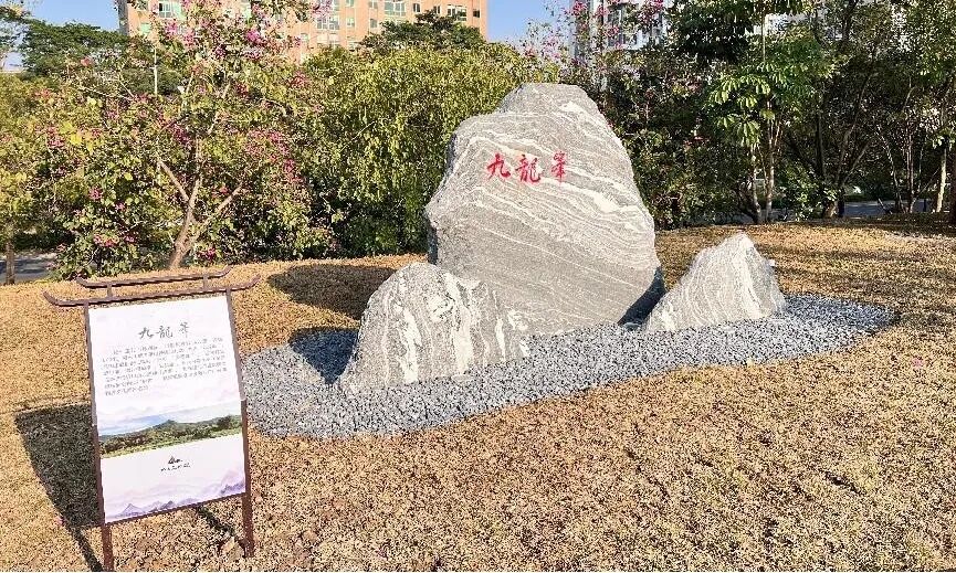 九龙峰.jpg