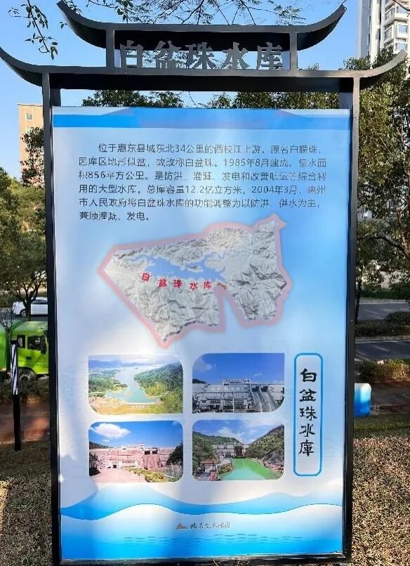 白盆珠.jpg