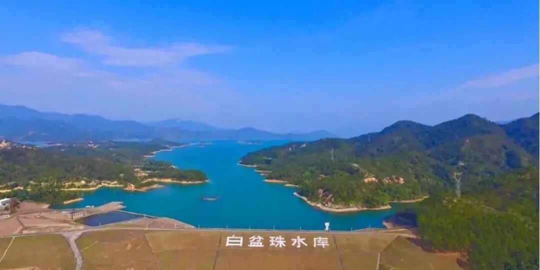 白盆珠1.jpg