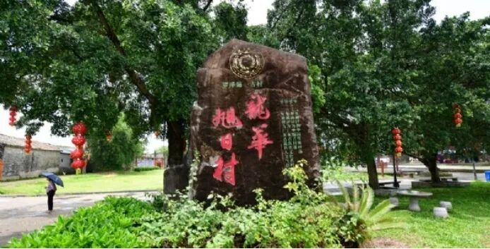 旭日村1.jpg
