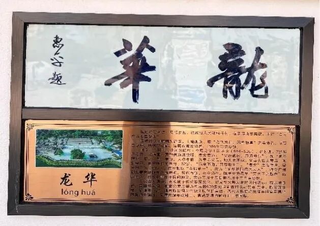龙华.jpg