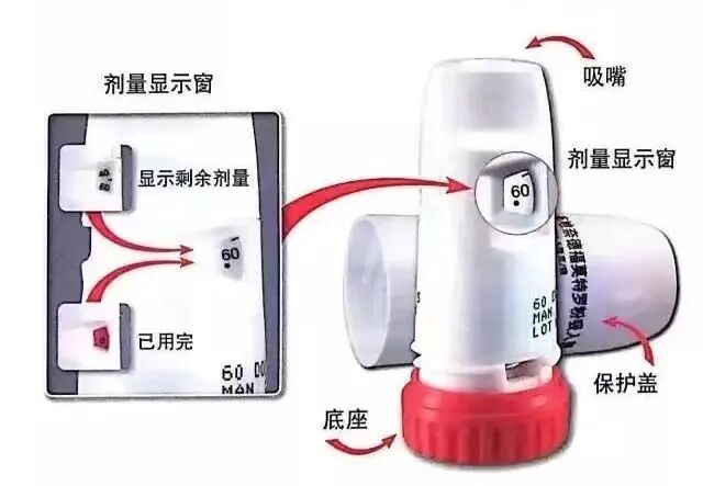 新呼泰怎么用常用几种吸入制剂的使用方法，你会了吗？_https://www.jmylbn.com_新闻资讯_第71张