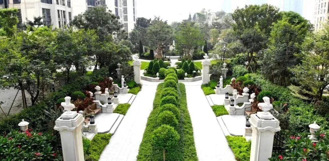 广州黄埔实地常春藤楼盘怎么样？