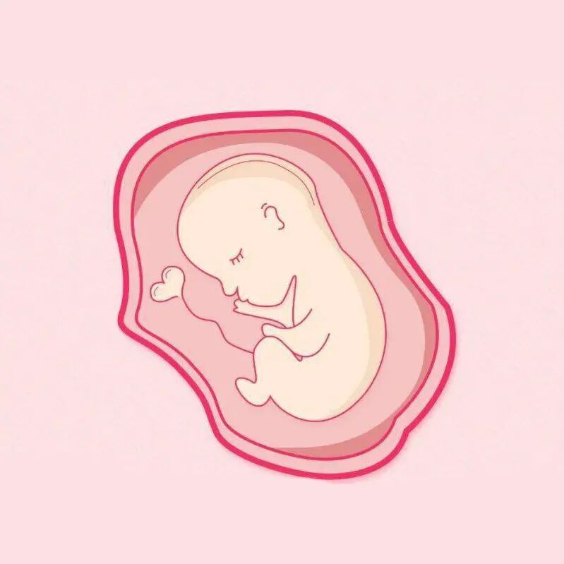 产程三维导航是什么准妈妈必看！什么是“产程三维导航”？_https://www.jmylbn.com_新闻资讯_第2张