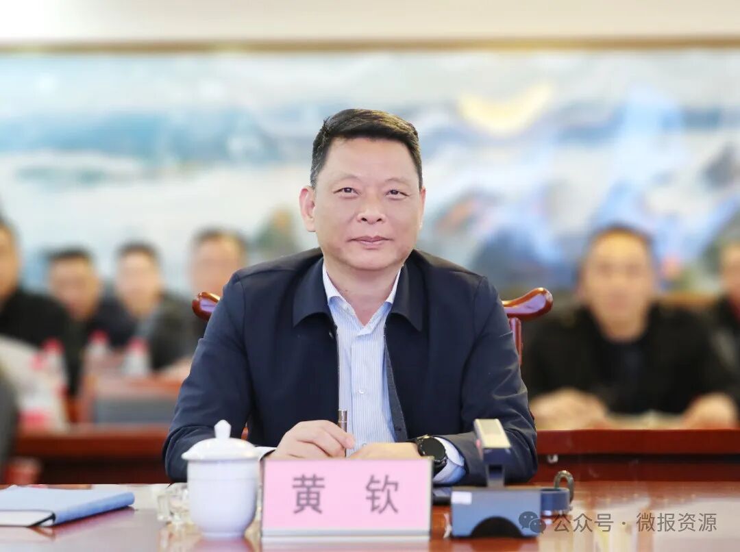 黄钦主持召开梅溪镇五好两宜项目设计规划汇报会