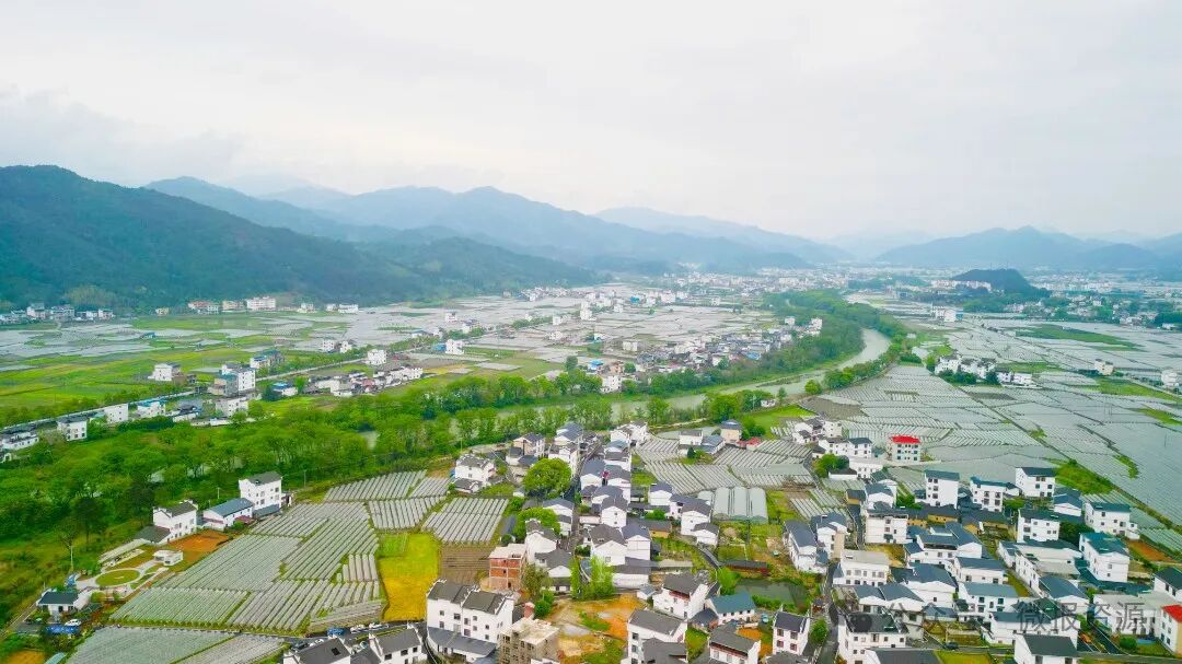 欢乐三月三共庆民族情中峰镇开展三月三民俗系列活动