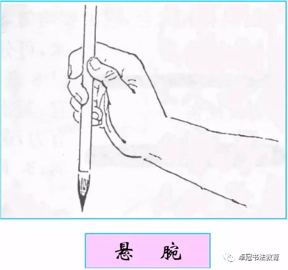 书法基础篇 毛笔执笔 运笔手式及基础练习 杭州卓冠教育科技有限公司
