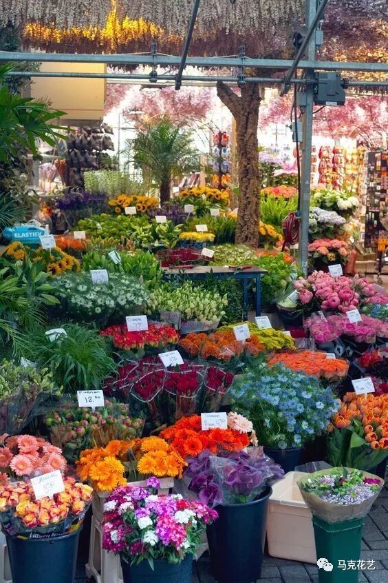 花店进货的正确方式，收藏就对了！