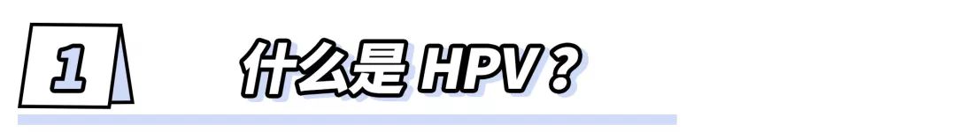 網紅HPV疫苗，是個騙局？到底該不該打？ 未分類 第8張