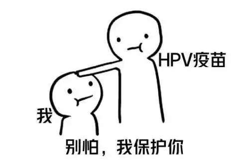 網紅HPV疫苗，是個騙局？到底該不該打？ 未分類 第17張