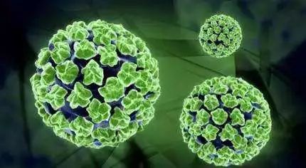 網紅HPV疫苗，是個騙局？到底該不該打？ 未分類 第10張