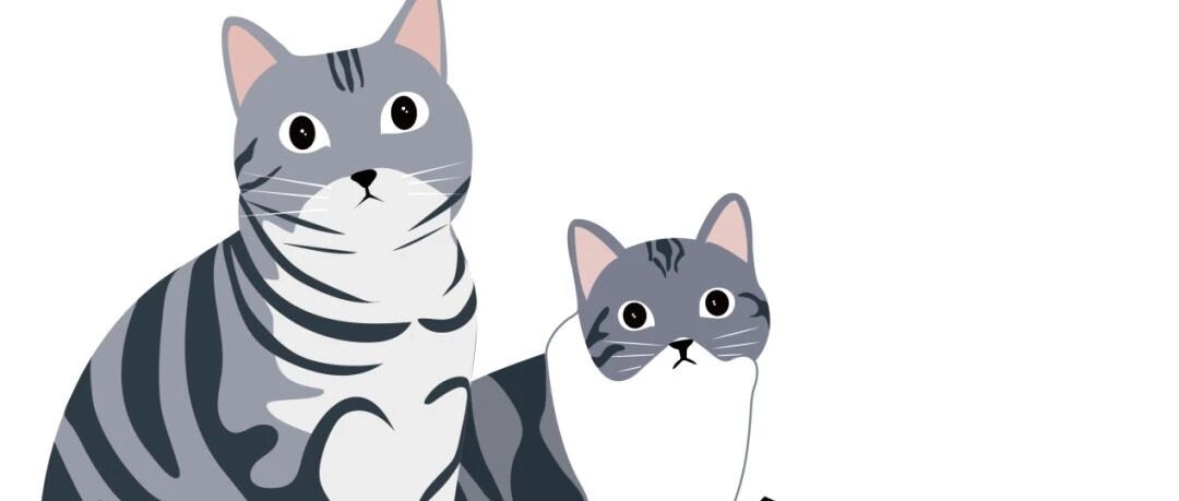 会议预告 | 第一届“经典与时代”人文学科青年论坛议程