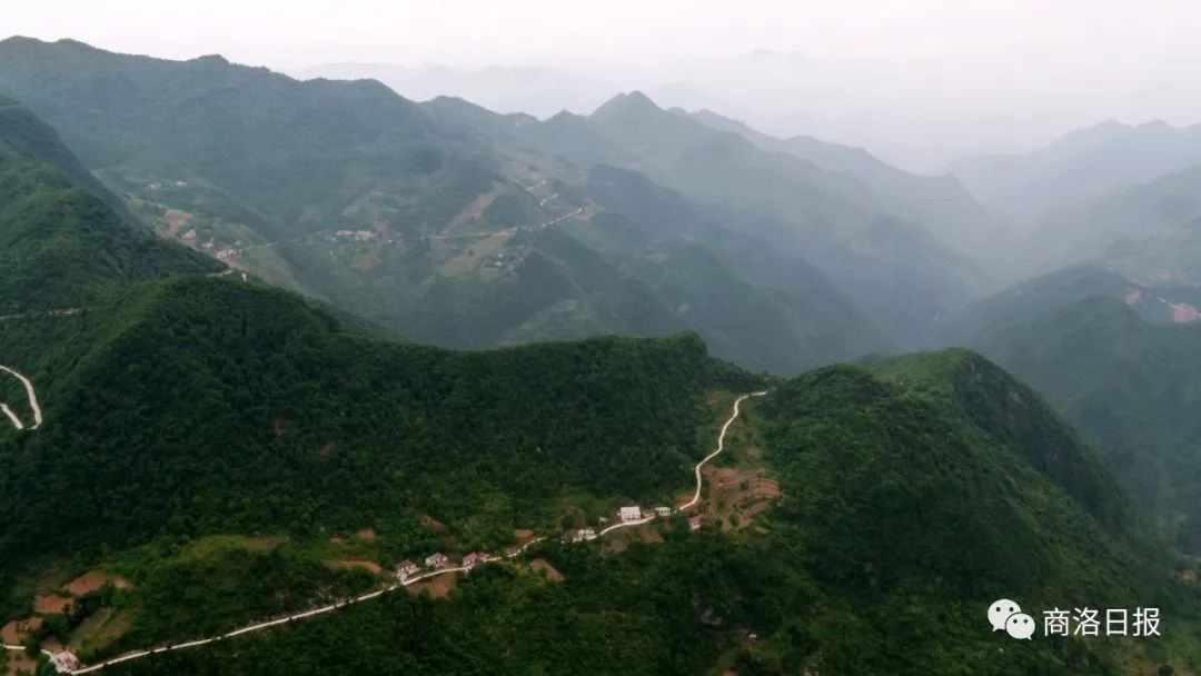1595203862912871.jpg 微信图片_20200720080835.jpg