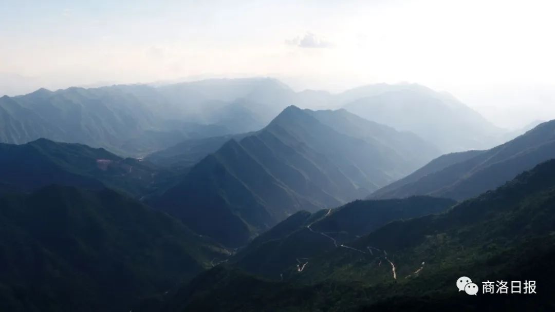 1595203882783173.jpg 微信图片_20200720080841.jpg