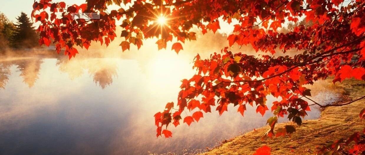 秋天的婺源，才是摄影师最不该错过的人间天堂!