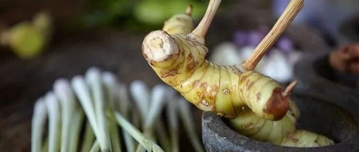 厨房这味“药”，可以止呕散寒！