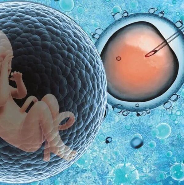 代孕不是“借腹生子”那么简单！健康、伦理、法律……问题一箩筐