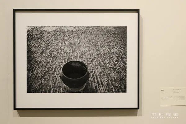 「宝相穆泉——穆泉摄影作品回顾展」于北京798开幕（图20）