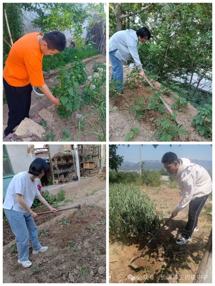 长清三中:享劳动之乐,悟劳动之美——长清区第三初级中学五一劳动节
