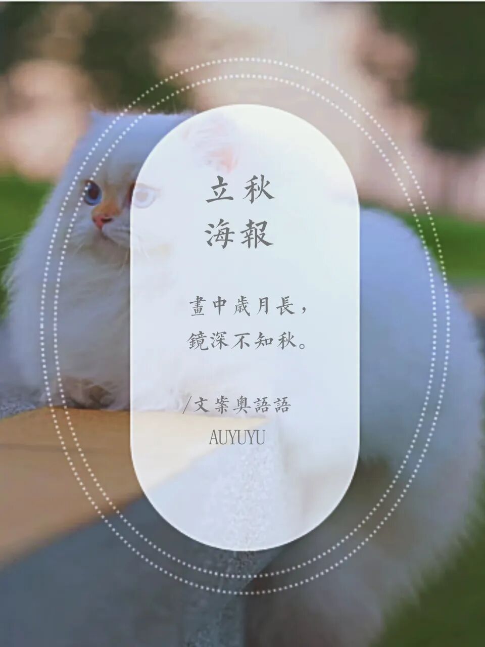 立秋海报文案创意丰美