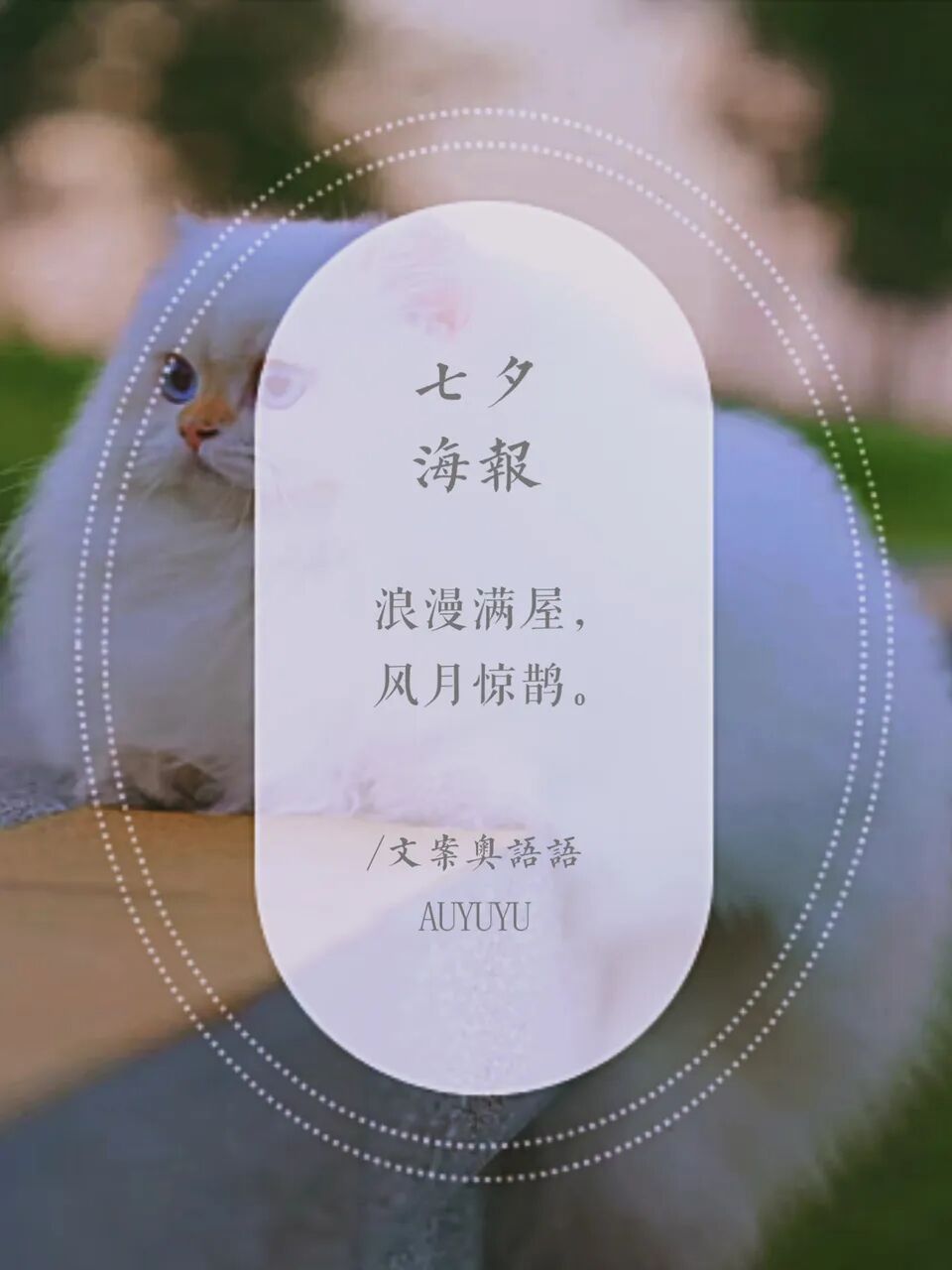 七夕海报文案创意风月微醺