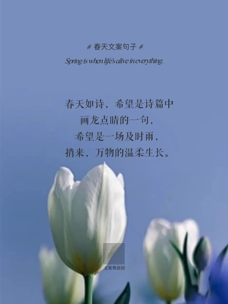 春天如诗,希望是诗篇中画龙点睛的一句,希望是一场及时雨,捎来,万物的