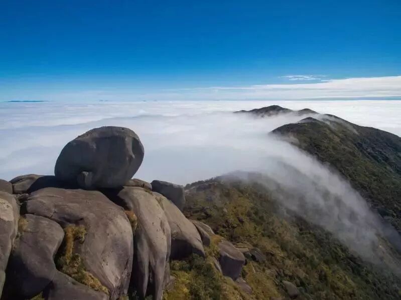 2017年9月,武平荣获"中国天然氧吧"的称号,是福建唯一获此殊荣的县份.
