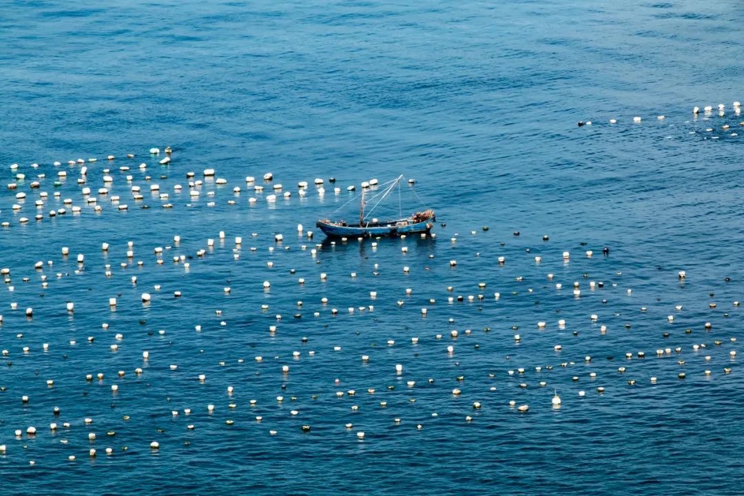 這座國內私藏級「海上天空之境」完勝薄荷島！水清沙幼人少，還藏著原始玻璃海！ 旅遊 第11張