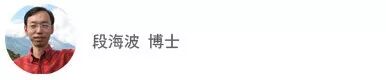 元宇宙vs. 数字孪生：技术演化的视角的图11