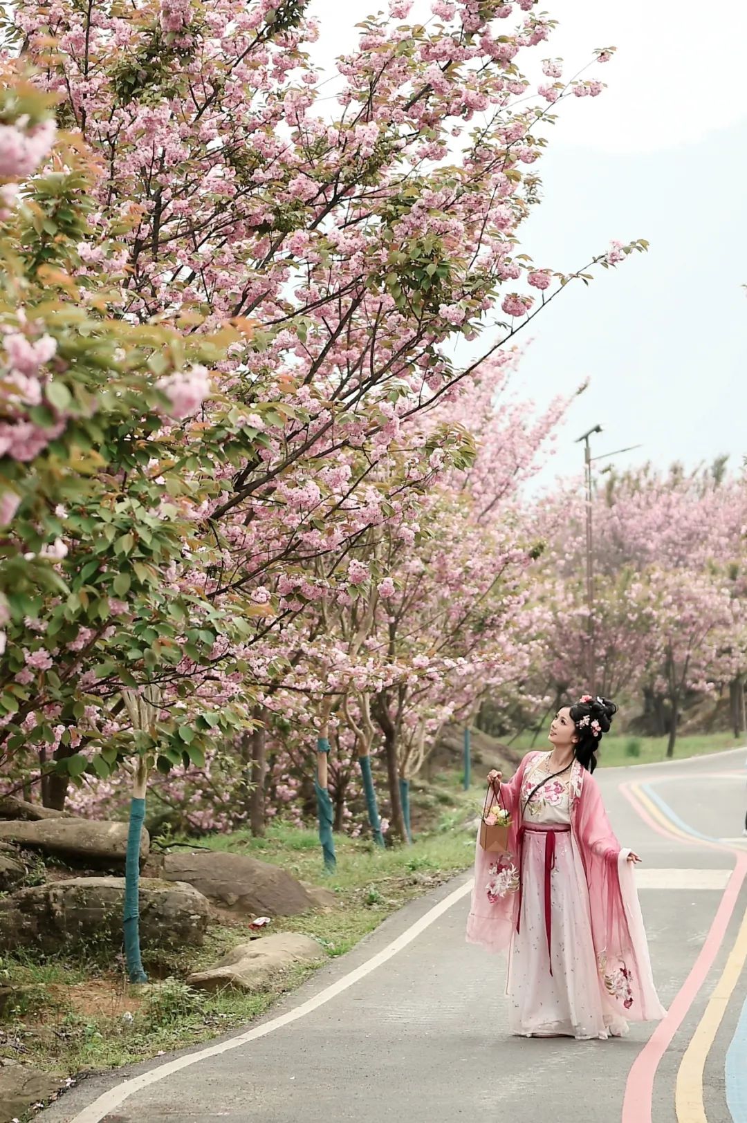 美女赏花古风图片