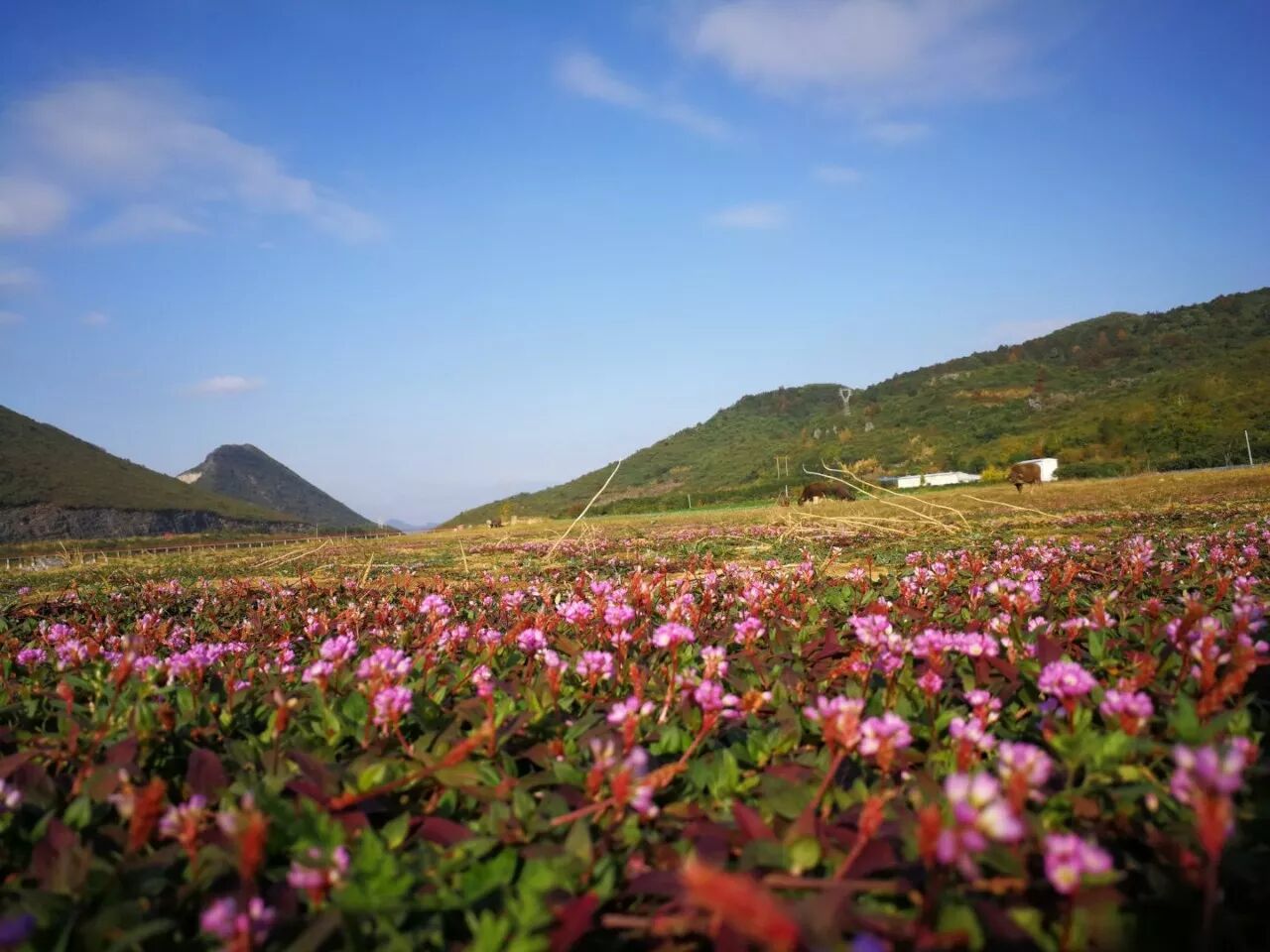 蚂蚁户外 12月7日穿越白竹境 肖家嵅 乌桕滩一日游 35元 人 自由微信 Freewechat