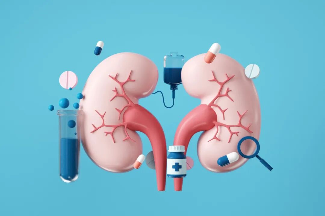 可愈有道_全面探索肾癌治疗新进展