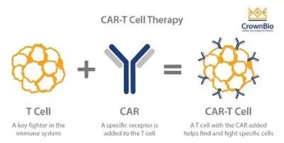 可愈有道_ CAR-T细胞疗法